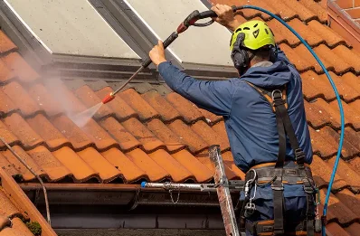 Démoussage et hydrofuge de toiture à Gelos